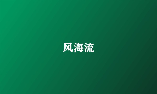 风海流