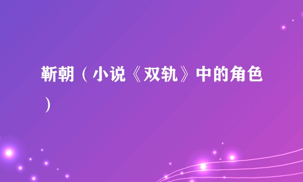 靳朝（小说《双轨》中的角色）