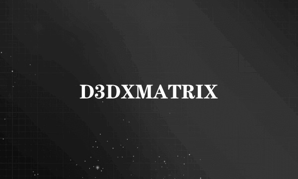 D3DXMATRIX
