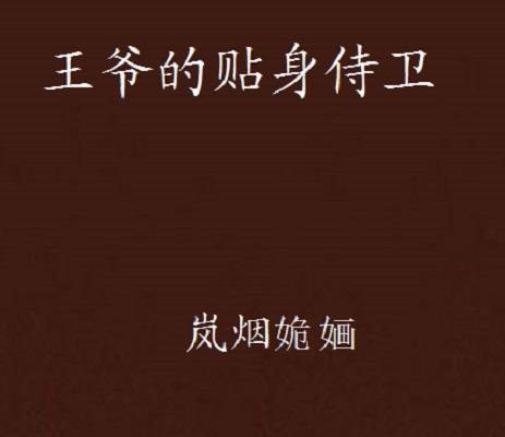 王爷的贴身侍卫