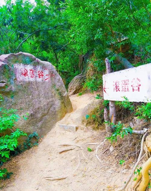 滚蛋谷