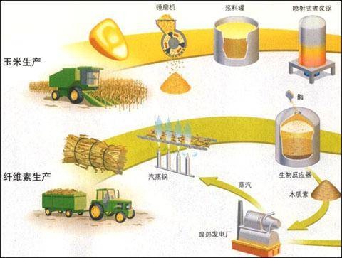 生物性燃料