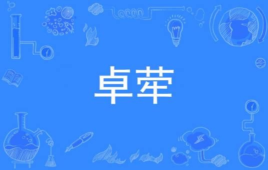 卓荦（汉语词语）