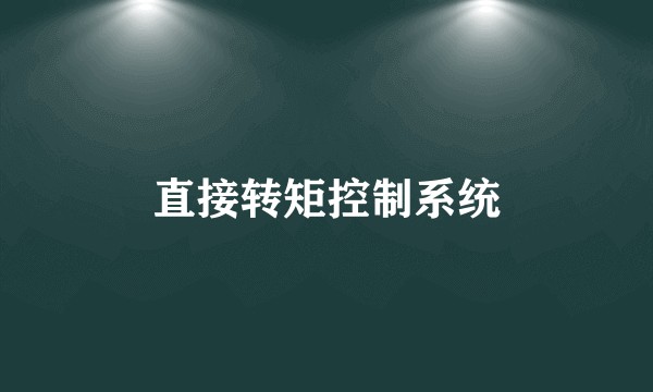 直接转矩控制系统