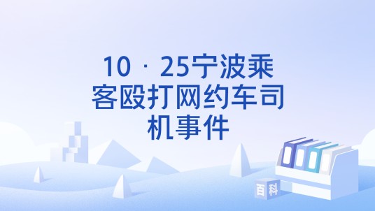 10·25宁波乘客殴打网约车司机事件