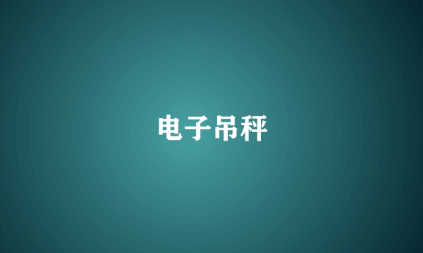 电子吊秤
