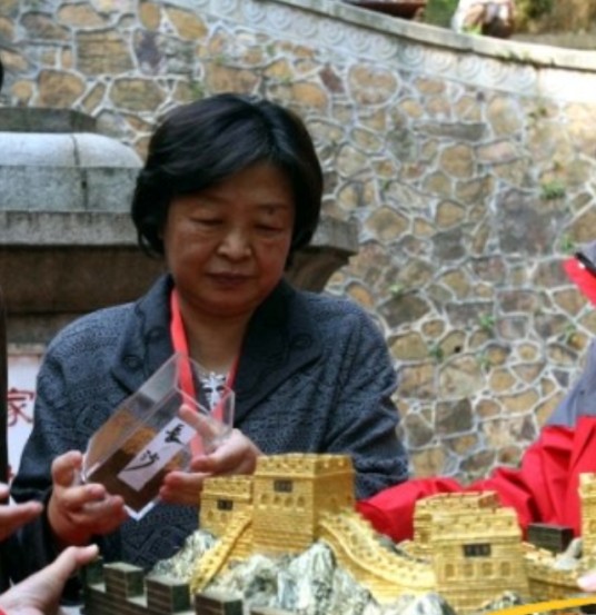 贺晓明（开国元帅贺龙之女，少将，贺龙体育基金会主席）