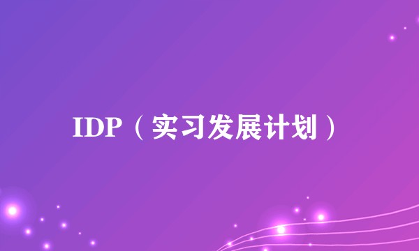 IDP（实习发展计划）