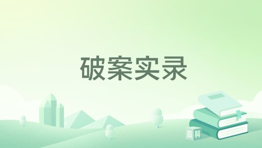 破案实录