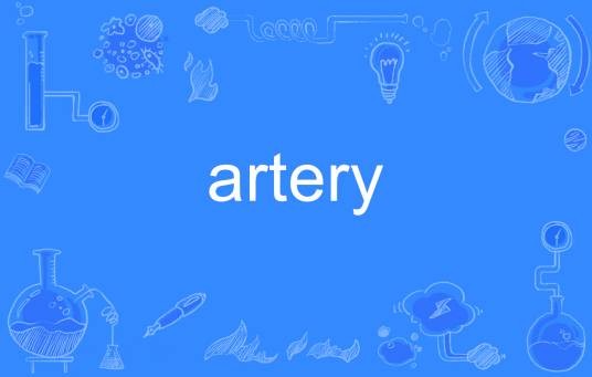 artery