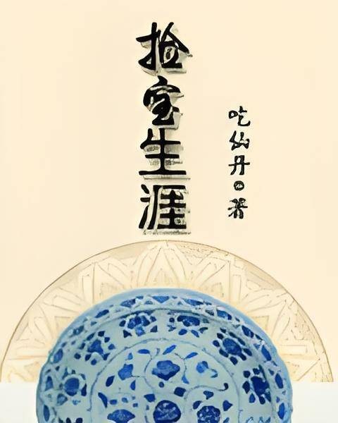 捡宝生涯