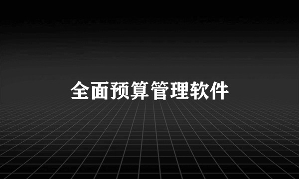 全面预算管理软件
