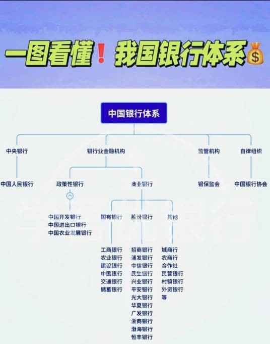 银行（金融机构）