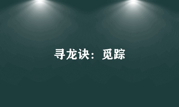 寻龙诀：觅踪