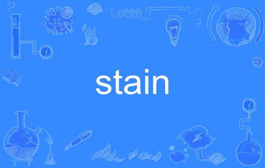 stain（英语单词）