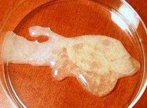 精液稠