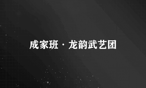 成家班·龙韵武艺团