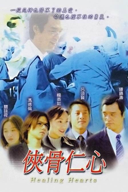 侠骨仁心(2001年林健龙执导的电视剧)