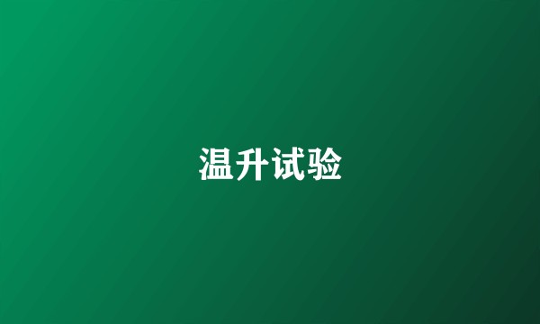 温升试验