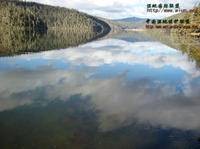 湿地联盟