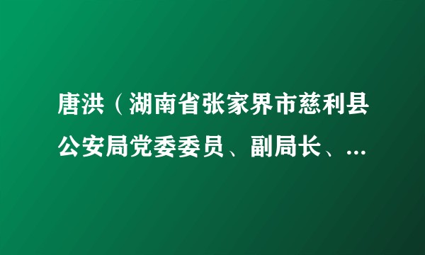 唐洪（湖南省张家界市慈利县公安局党委委员、副局长、政治办主任）