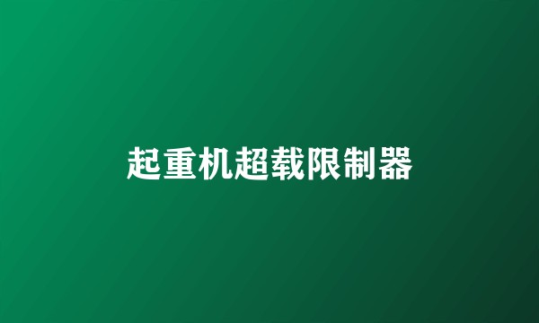 起重机超载限制器