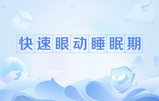 快速眼动睡眠期