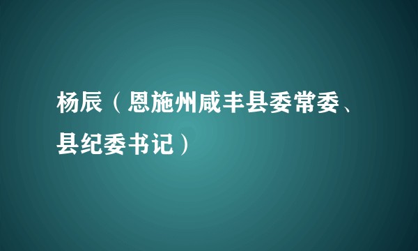 杨辰（恩施州咸丰县委常委、县纪委书记）