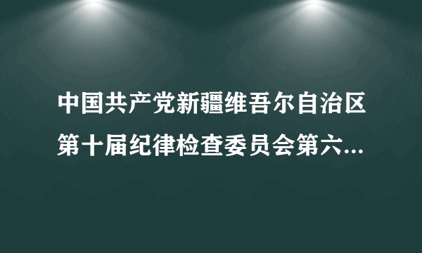 中国共产党新疆维吾尔自治区第十届纪律检查委员会第六次全体会议