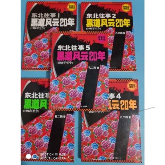 黑道风云二十年(2011年重庆出版社出版的图书)