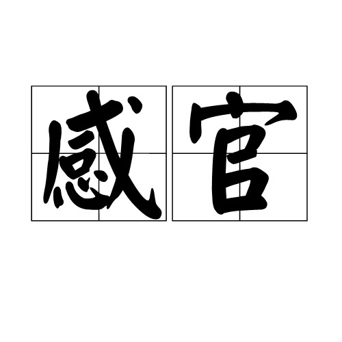 感官（感受外界事物刺激的器官）