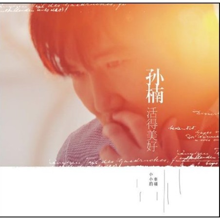 你对我的好（孙楠《活的美好》专辑中的歌曲）