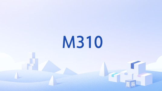 M310