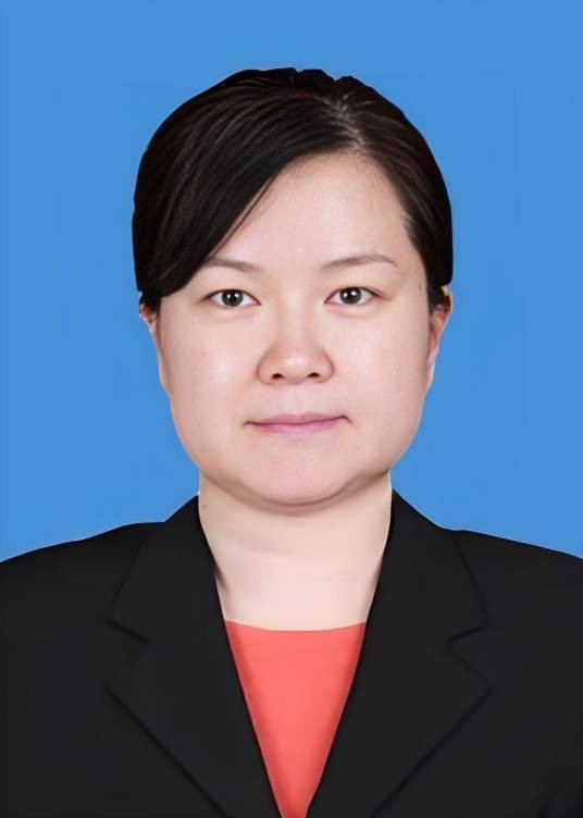 丁文霞（河南省郑州市金水区委书记）