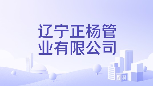 辽宁正杨管业有限公司