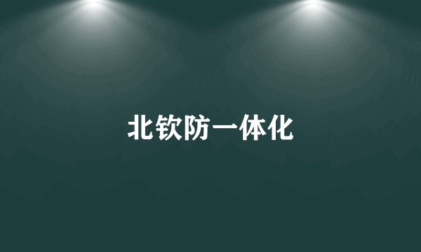 北钦防一体化