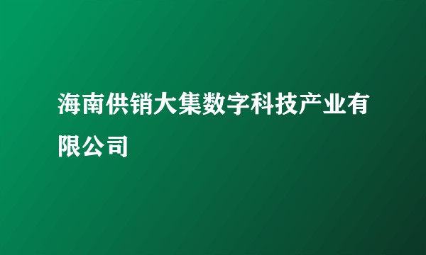 海南供销大集数字科技产业有限公司