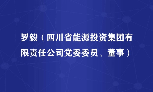 罗毅（四川省能源投资集团有限责任公司党委委员、董事）