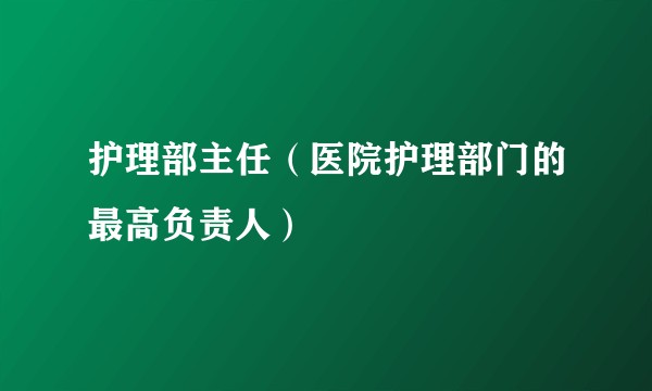 护理部主任（医院护理部门的最高负责人）