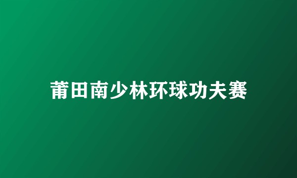 莆田南少林环球功夫赛