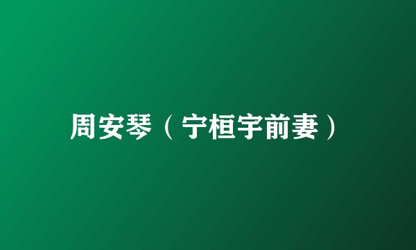 周安琴（宁桓宇前妻）