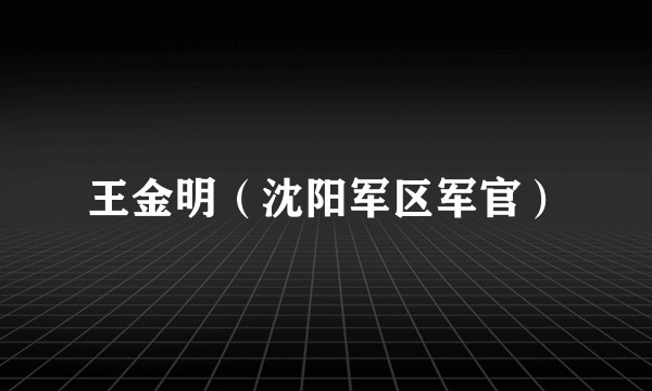 王金明（沈阳军区军官）