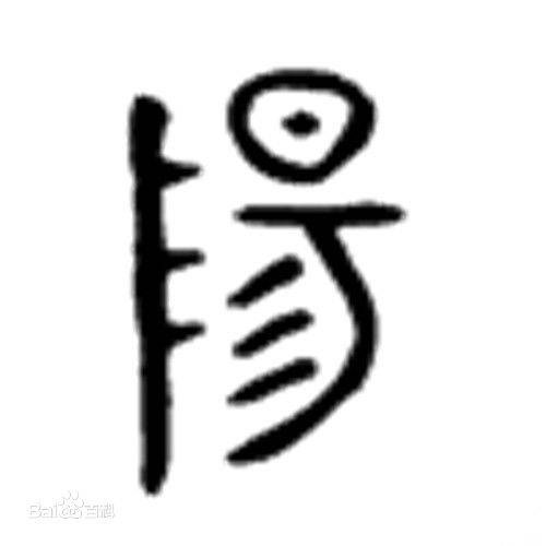阳气（中医理论）