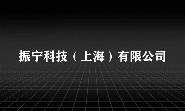 振宁科技(上海)有限公司