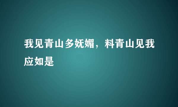 我见青山多妩媚，料青山见我应如是