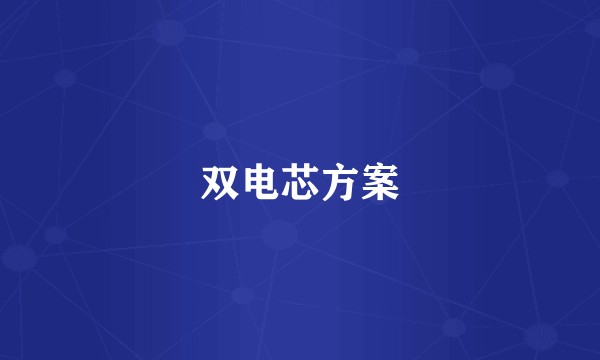 双电芯方案