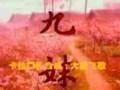 九妹（1996年黄鹤翔演唱的歌曲）