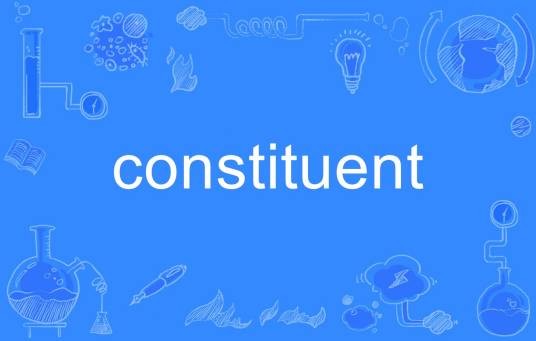 constituent