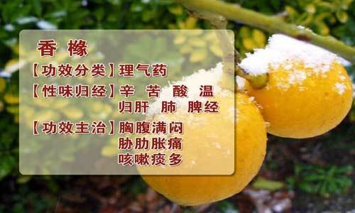 香橼研究