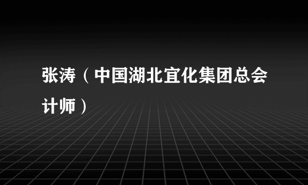 张涛（中国湖北宜化集团总会计师）
